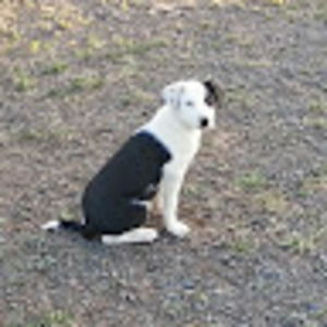 Meet your Posher, Ed